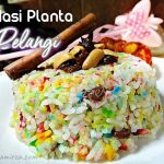 Resipi-Nasi-Planta-Pelangi-Mudah-Sedap-