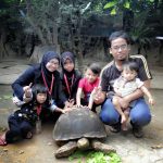 FARM IN THE CITY TEMPAT MENARIK CUTI SEKOLAH
