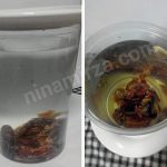 Apa tu Air Nabeez…?? Banyak khasiat rupanya