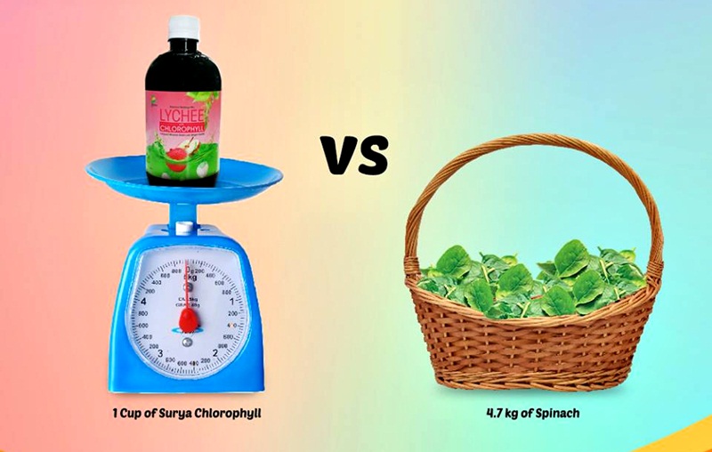 Chlorophyll SURYA selesaikan masalah kurang makan sayur