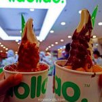 llao llao